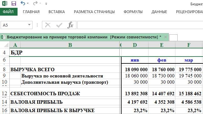 Образец бюджета расходов